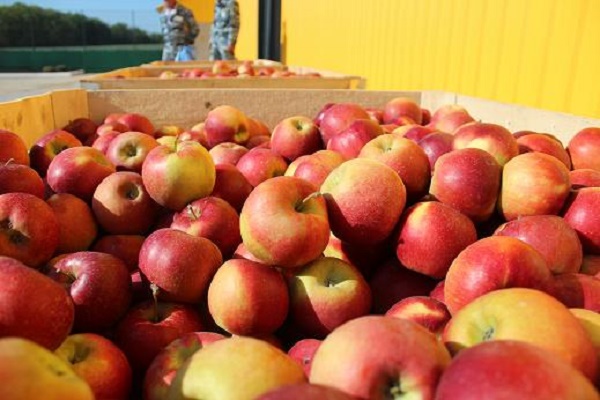 На Тернопільщині планують спорудити надсучасне потужне фруктосховище