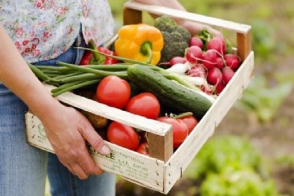 Що буде на Тернопільщині з цінами на продукти сільгоспвиробництва?