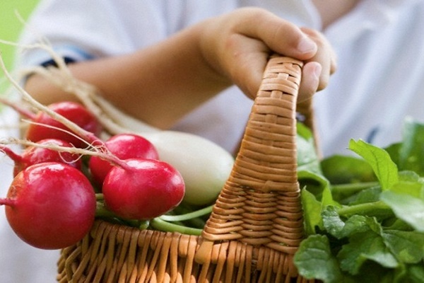 Що потрібно знати тернополянам про нітрати в овочах і фруктах