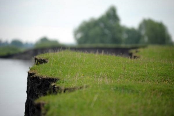 Хто кришує земельну мафію Зборівщини?