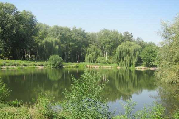 У Тернополі збудують «Аквадром» за кілька мільйонів гривень