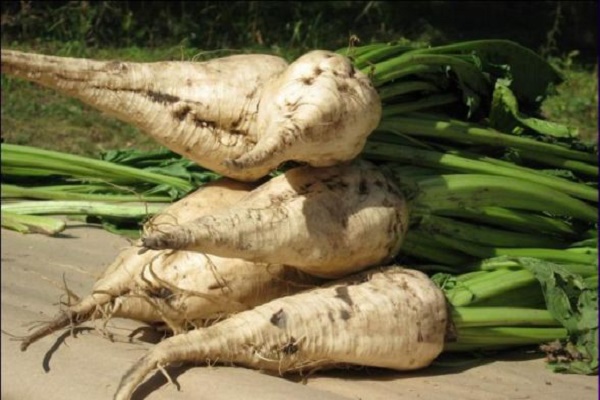 Несолодкий тернопільський цукор