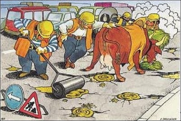 Як в Тернополі одна біда ремонтує другу, або знову про ремонт доріг