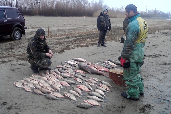 Скільки збитків завдали браконьєри на Тернопільщині?