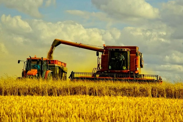 15 фактів, які свідчать про потужну аграрну галузь України