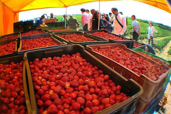 Людям в селі на Тернопільщині набридла 