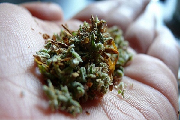 Справедливість таки є: жителю Тернопільщини присудили 5 років за три дози коноплі...